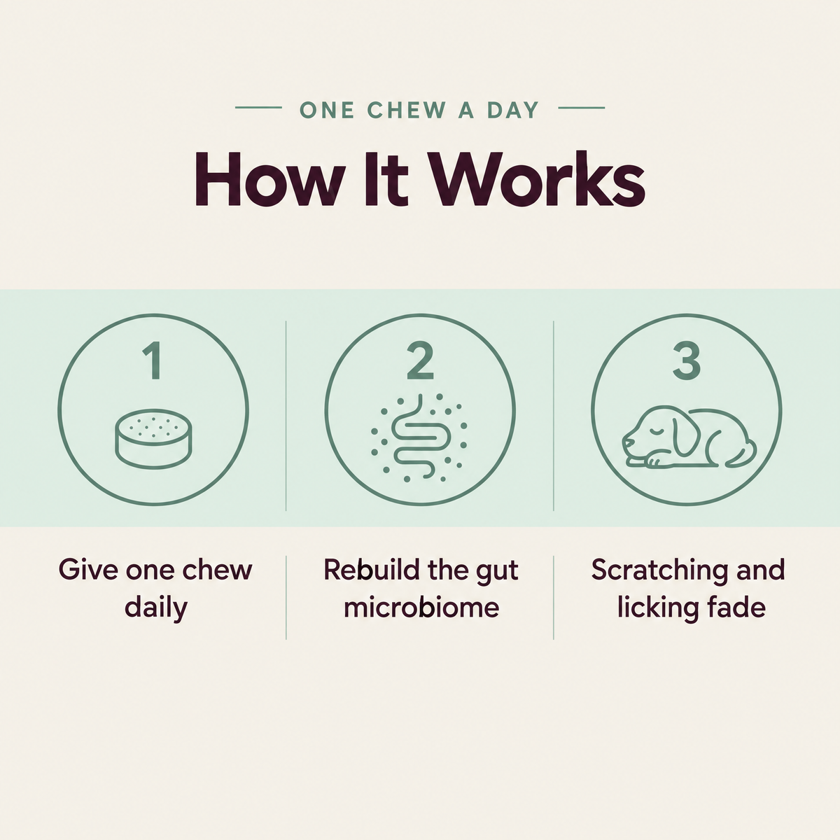 ItchEnd™ Microbiome Restoration Chews