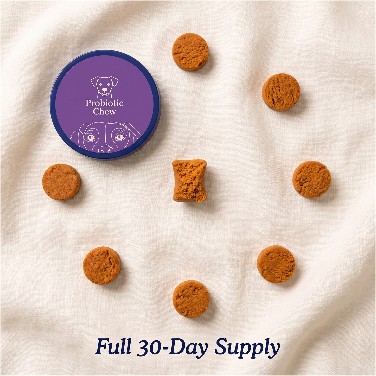 ItchEnd Daily Skin & Allergy Chews