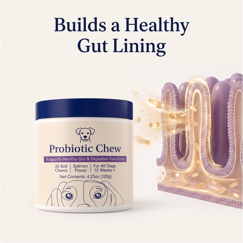 ItchEnd Daily Skin & Allergy Chews