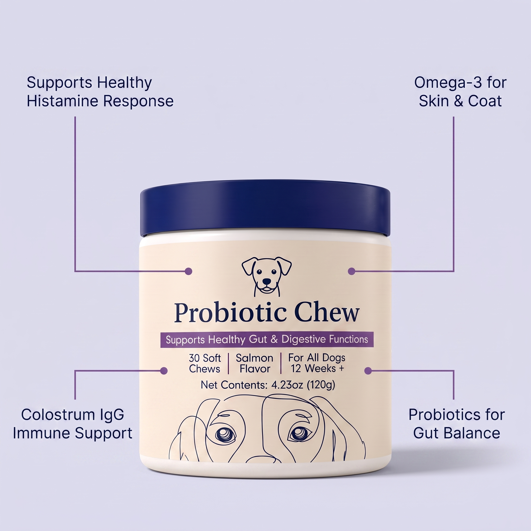 ItchEnd Daily Skin & Allergy Chews